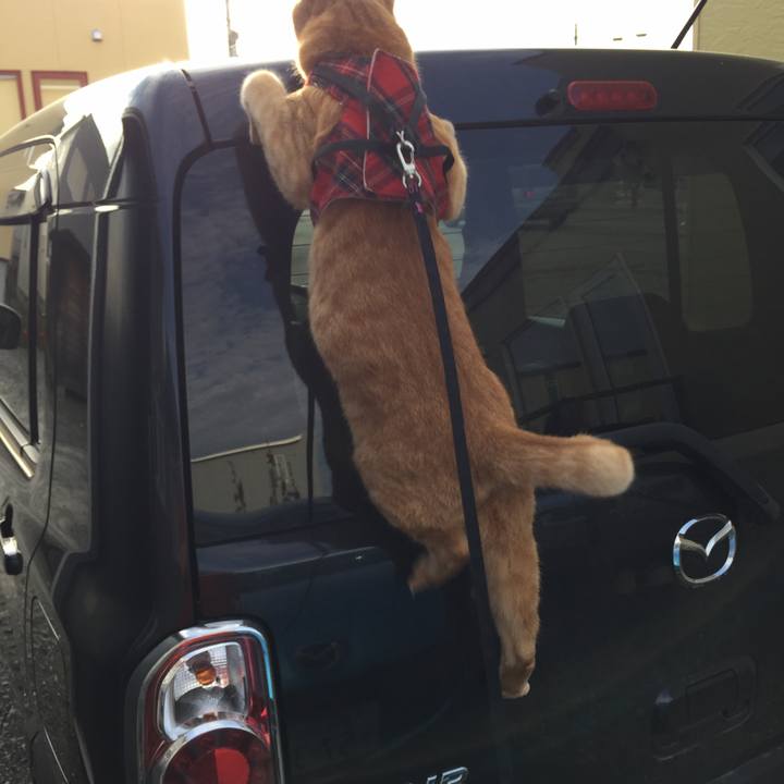 249d55c8 a712 4023 aefb 18e1b34c5af1 1532386119632