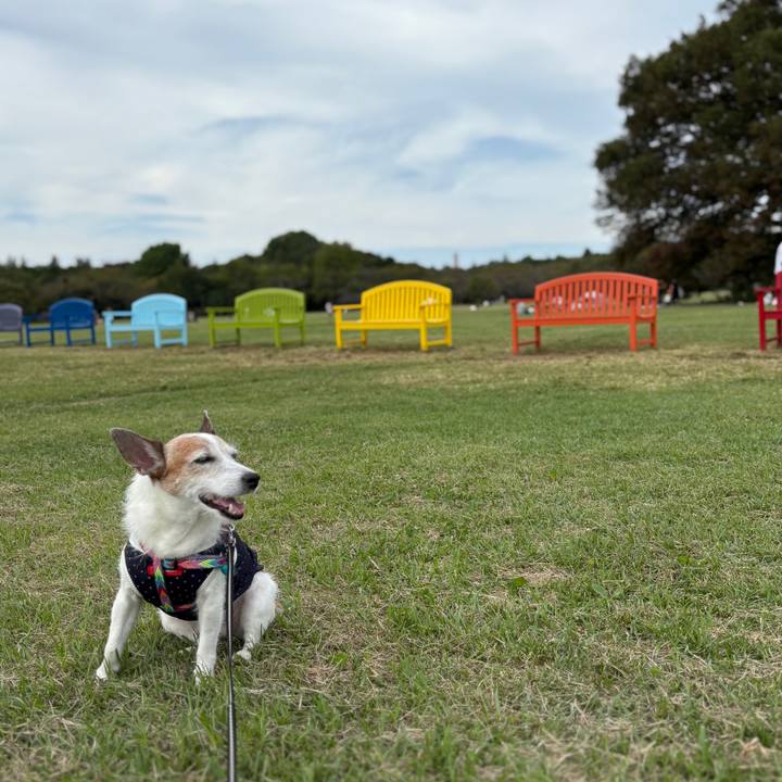 249d7385 5b37 4285 8196 13b01e9d028d 1760747664468