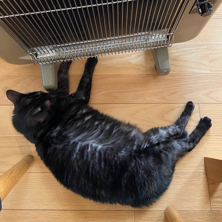 249d845e 3cbe 4ab9 879a afb961ad575c 1643932302654