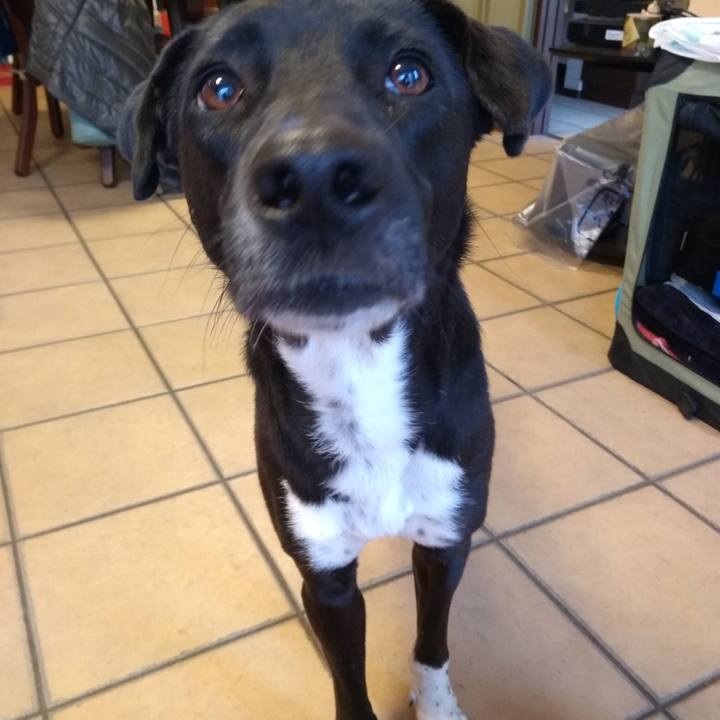 249d8eb3 999a 4e77 a622 3789956d17ca 1585386414572