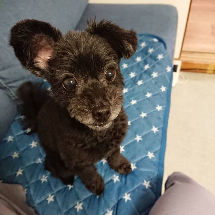 249d98bb 012b 4321 84f3 014a4fb6af5c 1570966584071