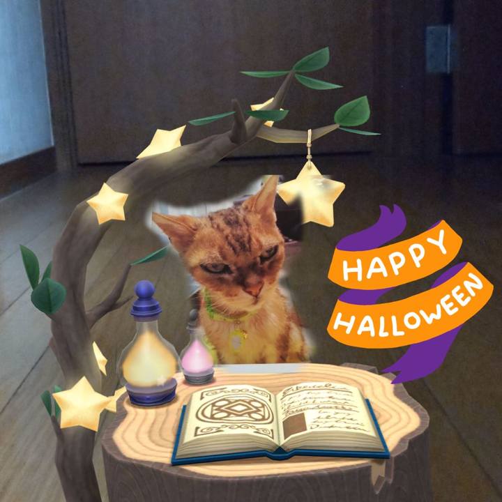 249da78a 9437 4add bb8b a0a26c4e7057 1761866639069