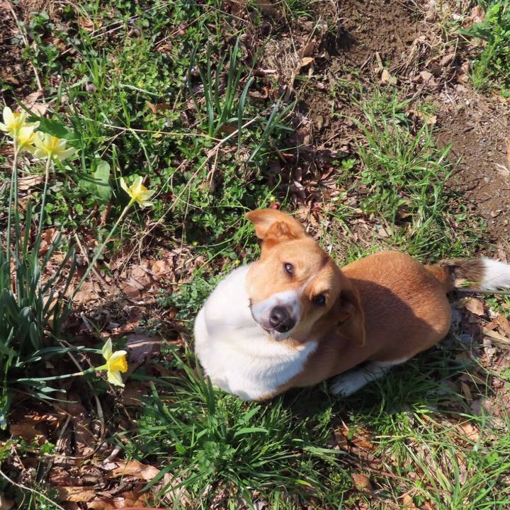 249dce3a 017a 4a5c 94b9 f285579f1845 1616974636473