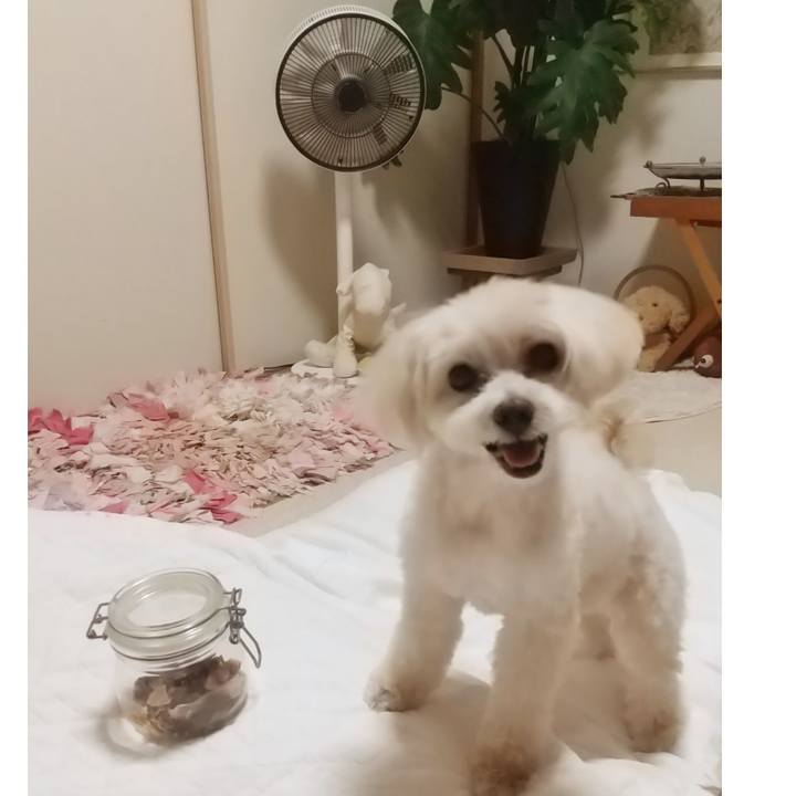 249dee0b 57bc 465a 9920 9c9ed7a44a44 1653829919419