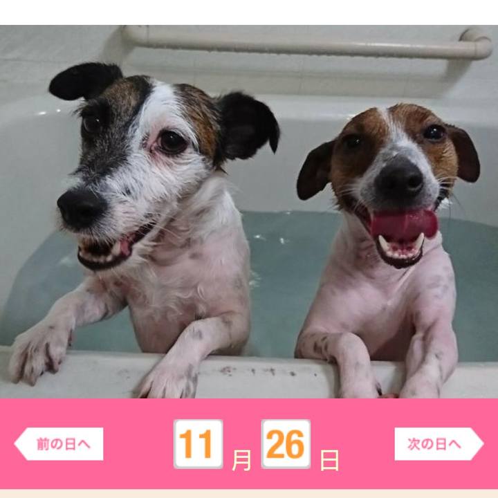 249df459 d2cb 44ba a733 cf8aefa2de9c 1598004854578