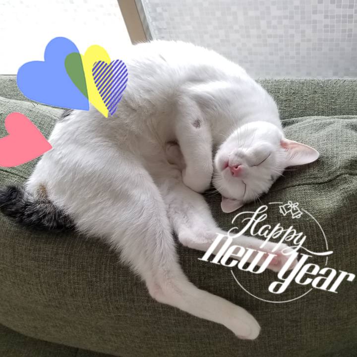 249df91d abff 43ae 94c1 a5493685bc82 1577845577129