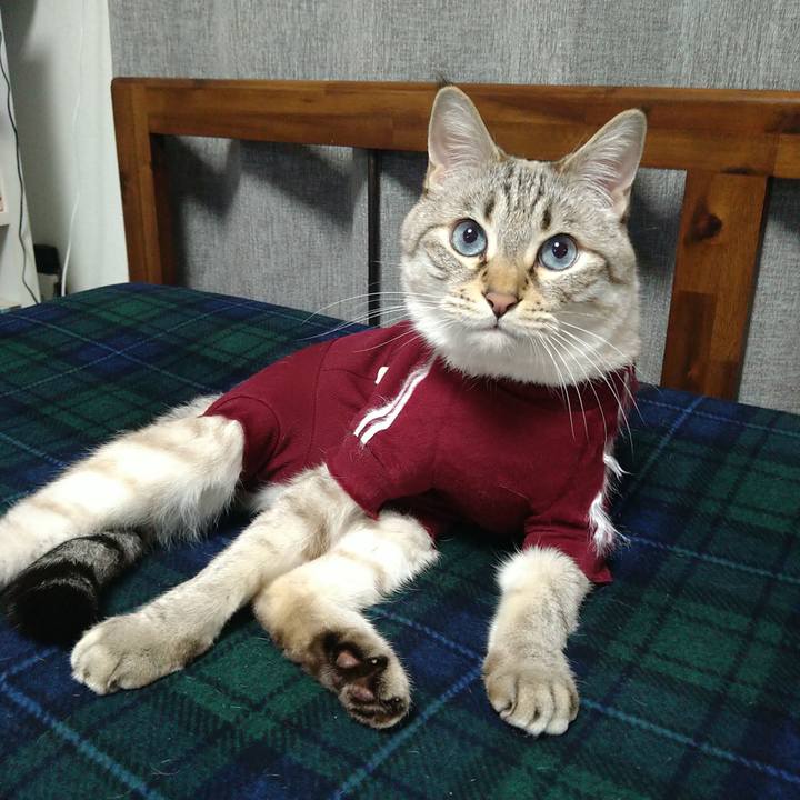 249e03ff e1fa 44ce a20d 276ba8de6655 1713436918212