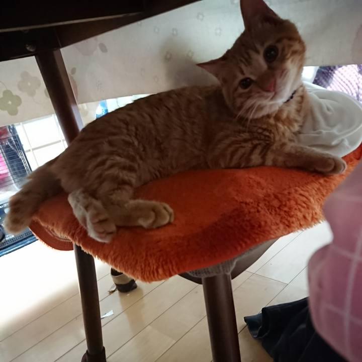 249e5abd 7ac2 4a34 9235 86a240641443 1639084776277