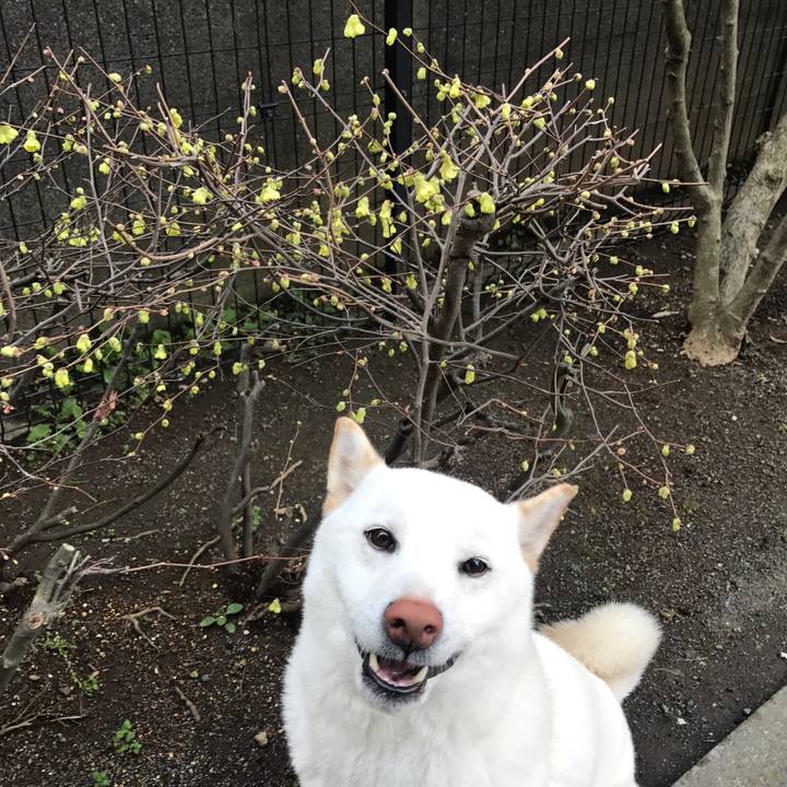 249ec0aa edfa 45ad 9cd3 10d7a2b92085 1520899440678