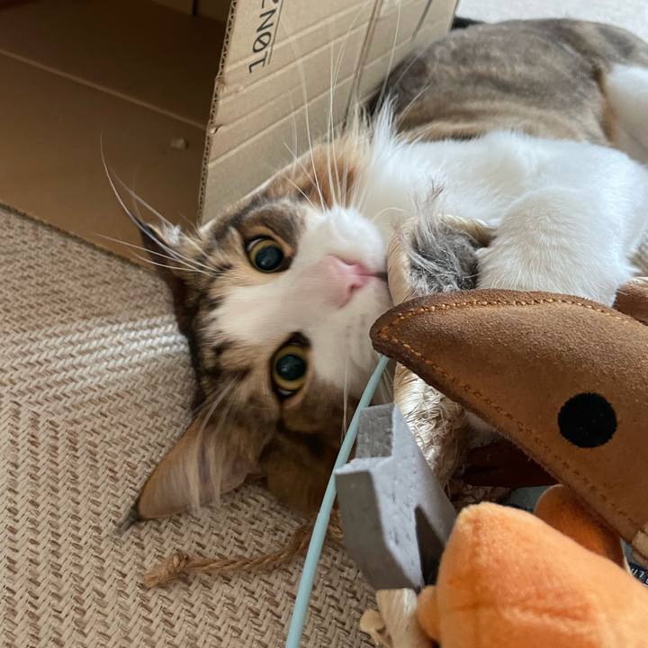 249ec1d9 e0bc 4744 a115 3f5457cafff1 1660513054067