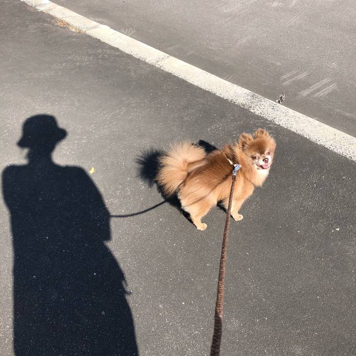 249ec8b9 b43b 4338 a0c0 7e2a8708b7ff 1600754414288