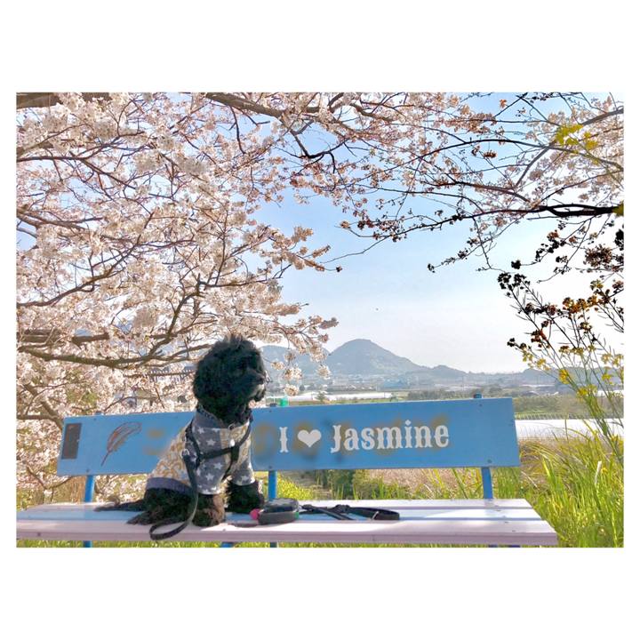 249eca39 181f 4392 97ab fac78e95b201 1554564520471