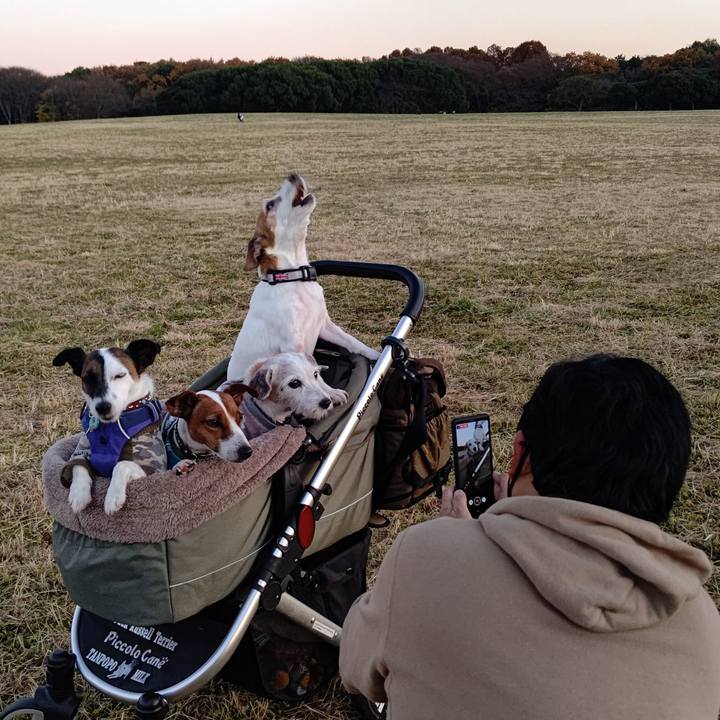 249edede 9e05 4651 872b 72ec01750a42 1638609320228