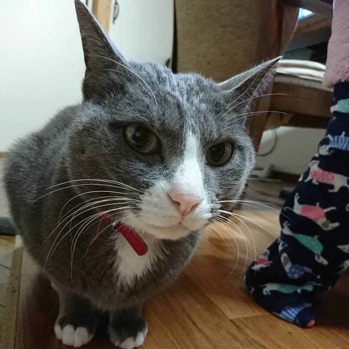 249f039f 1ca8 4ad6 9ddf 067b97d74c12 1516846180760