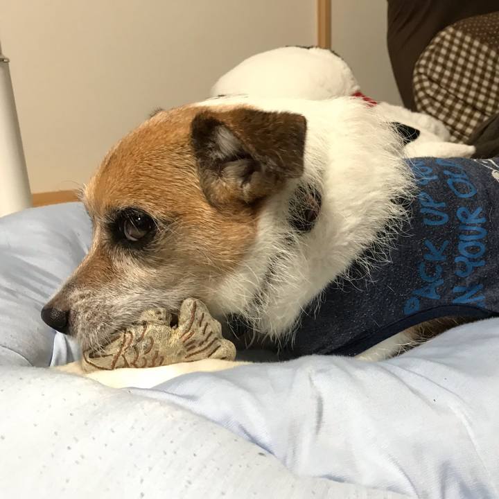 249f0fc5 a276 4483 a1be f4bf1ebd8db8 1565856020770