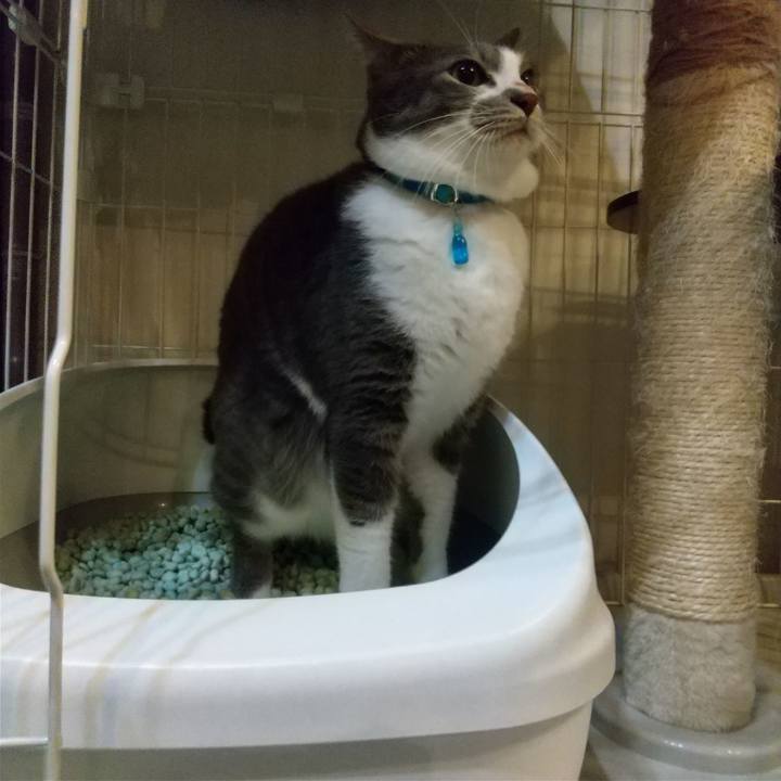 249f1c99 208a 4ba8 94a3 fc5228ca15ab 1637152542103