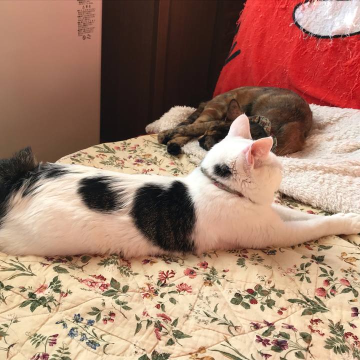 249f1e2d a289 4852 b75a 69ca1b360226 1641862213114