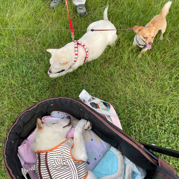 249f75b5 1b1a 4588 ba39 b0bc2c096734 1658397742075