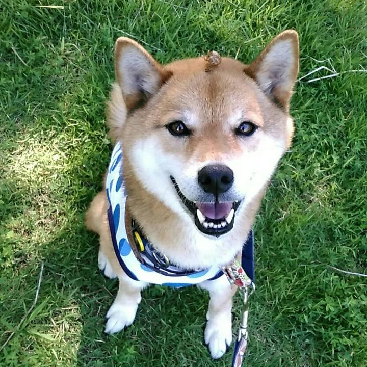 249f9139 0d25 4650 8fc9 3d3bc91d3610 1564100431377