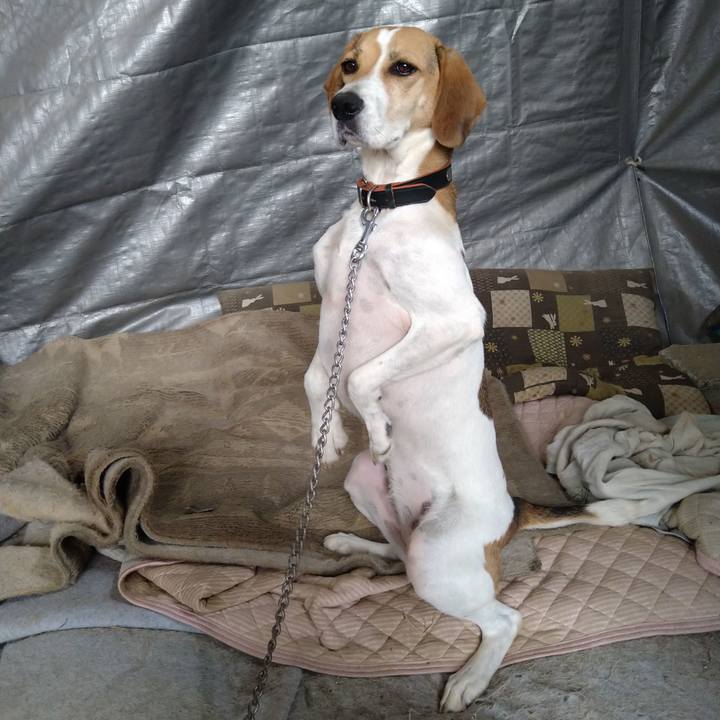 249fb7cf 2db2 48ed 9d95 1c91e43940c0 1632320418108