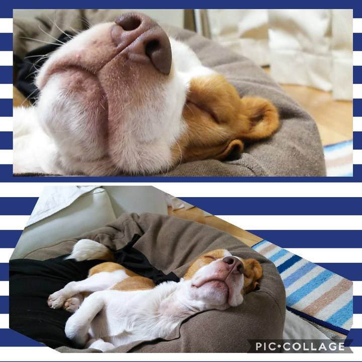 249fc3d6 4bf1 41dd aecc 291236f2e97c 1550919510539