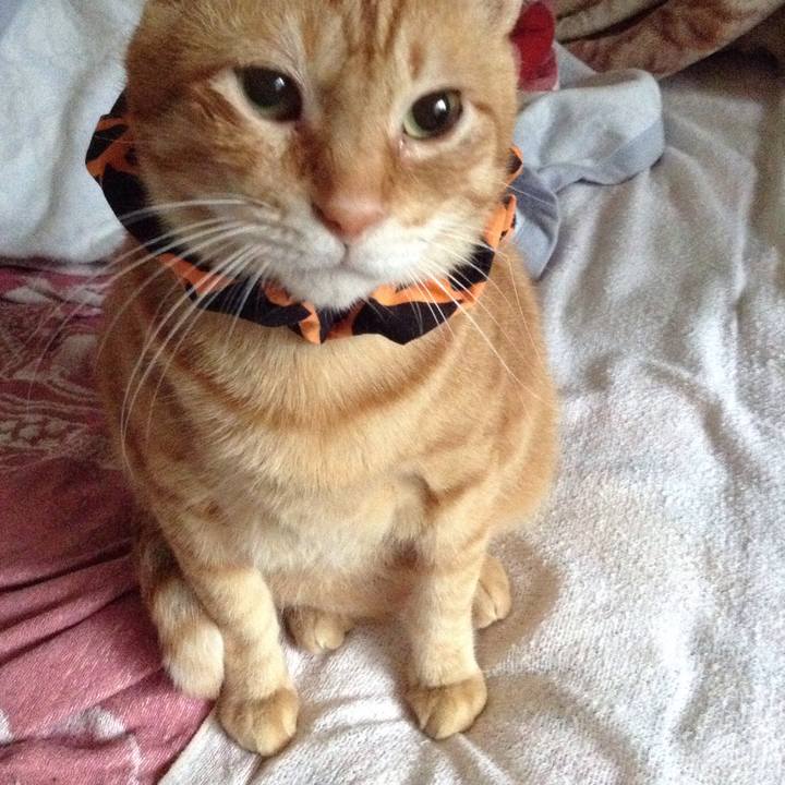 249fe2fd c791 46ab 9a77 1a185b06c8c7 1570570664434