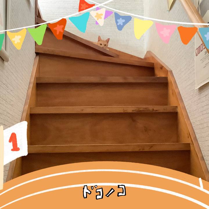 249fea6a 9e0a 49b9 b221 c0a53b47c081 1761117018446