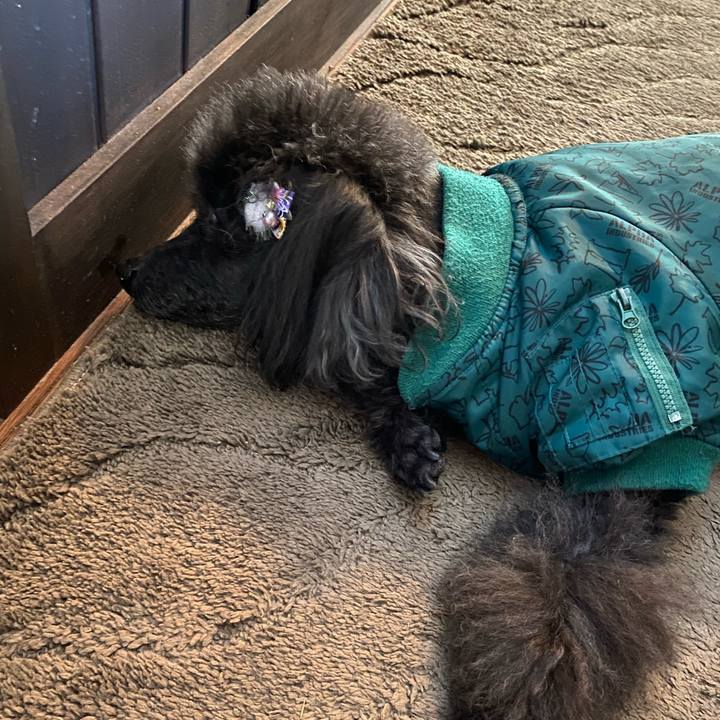 249ffa80 48be 44bd a017 8d19af3d9590 1611136448524