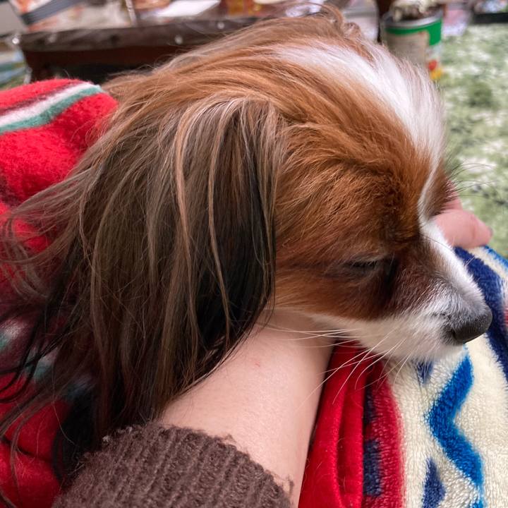 24a0854a 2c52 448c aa5a 3c6ba22cd7ef 1641356948027