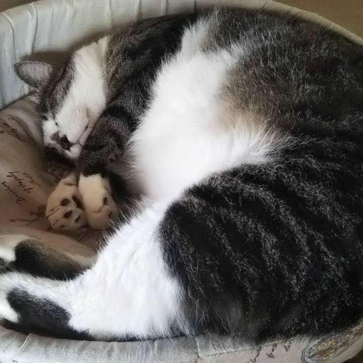 24a096d9 78b2 4f27 bde8 e49827a508db 1614439715506