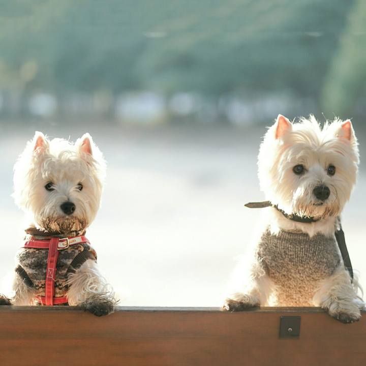 24a0bb09 7e4b 4eb9 af56 f2a98845b751 1518190504869