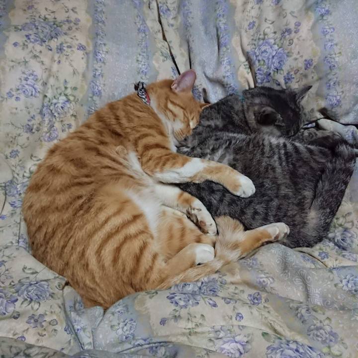 24a14db4 9256 4ae6 ac1d ff7cfcd9cf4d 1604835310495