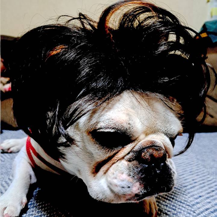 24a15214 cfa6 481e 9735 e85d9f71570e 1701042243662