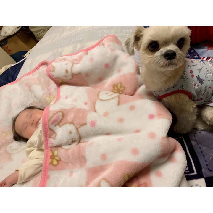 24a1726b 9db3 40ac 908f 143c557a9423 1551412340988