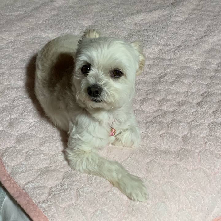 24a18803 14e2 453f 8f80 1a3e532cb527 1589970637467