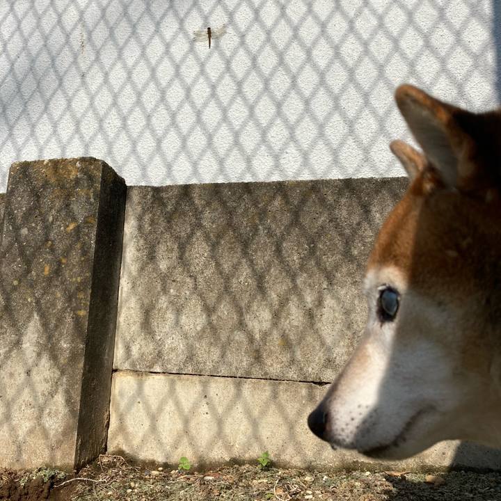 24a19e81 5500 4fe2 85a7 42d94255647d 1730420751854