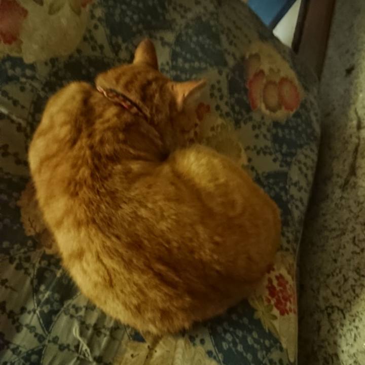 24a1f7ab 6052 4afd 8961 3f2b7bb0a23c 1602676212767