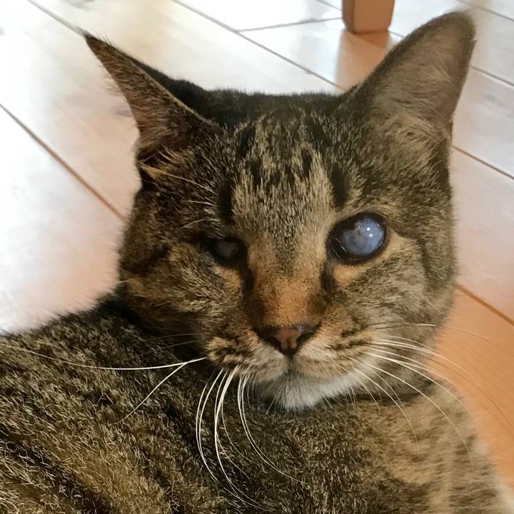 24a20310 5c1c 48c3 94ff ccb3a172a569 1566808093817