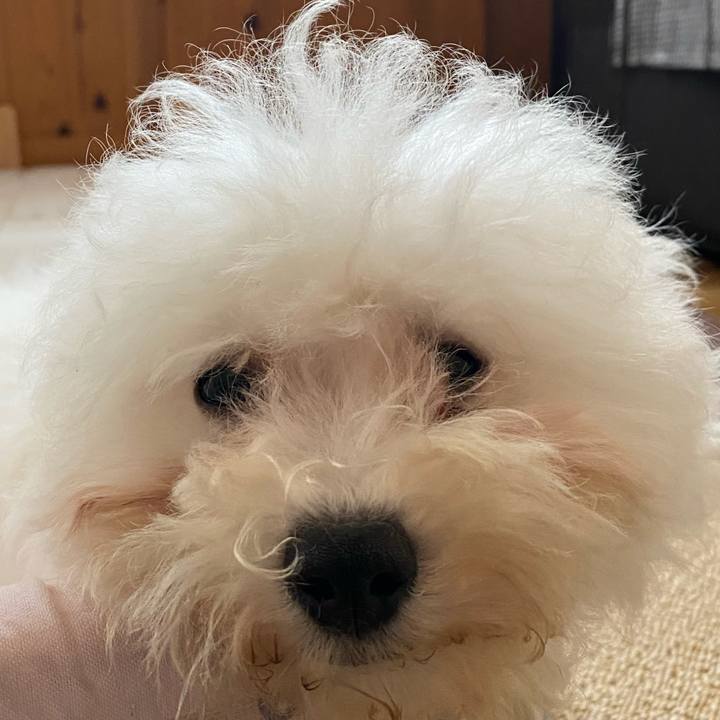 24a2156a 57d0 4879 93c5 1ed5fe1479a5 1746343265978