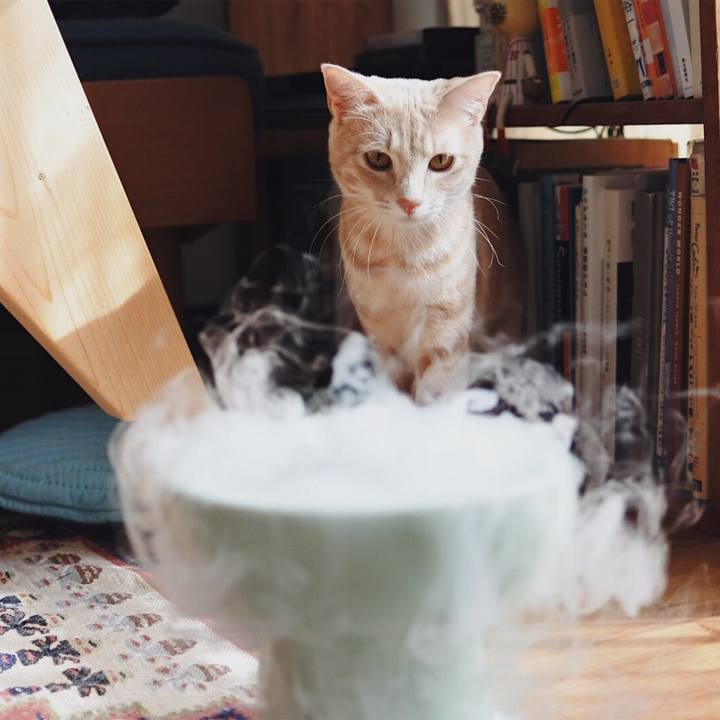 24a21c98 3de5 47f6 9ce2 f1e4ba5ab042 1559120524462