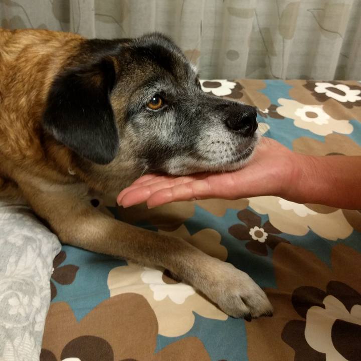 24a229c8 0846 4025 a1ed b2a6953a0cfd 1696984818193