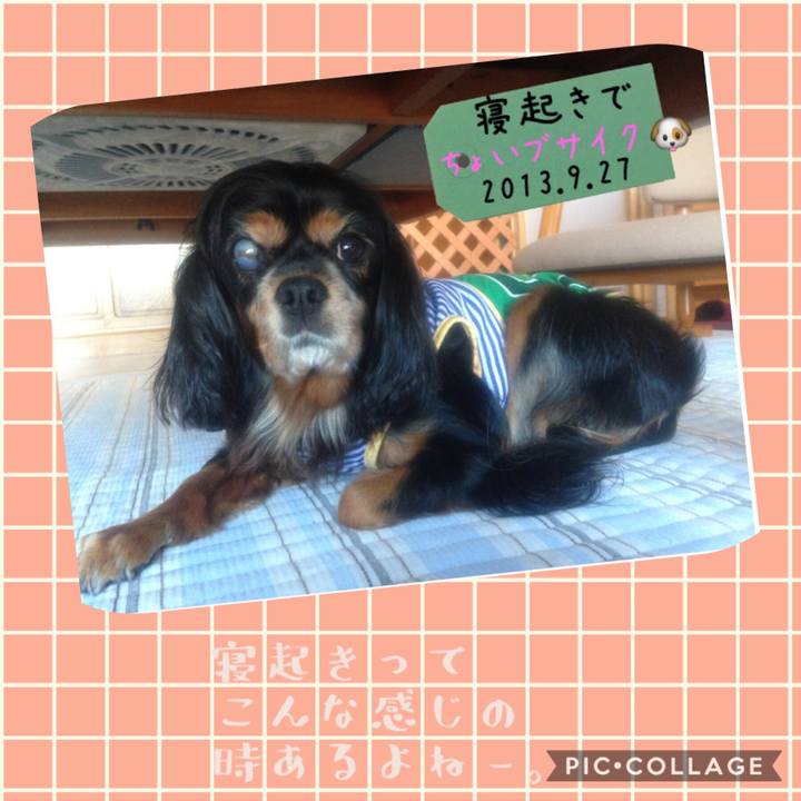 24a22aba b445 4043 9baf 95208427738b 1537578518047