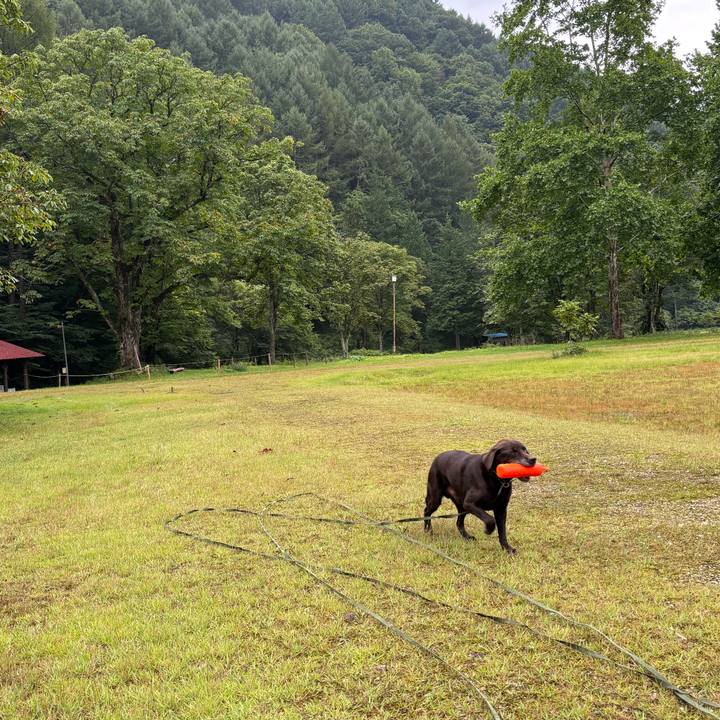 24a22c4b 39c7 43d6 a368 919601472457 1757837134551