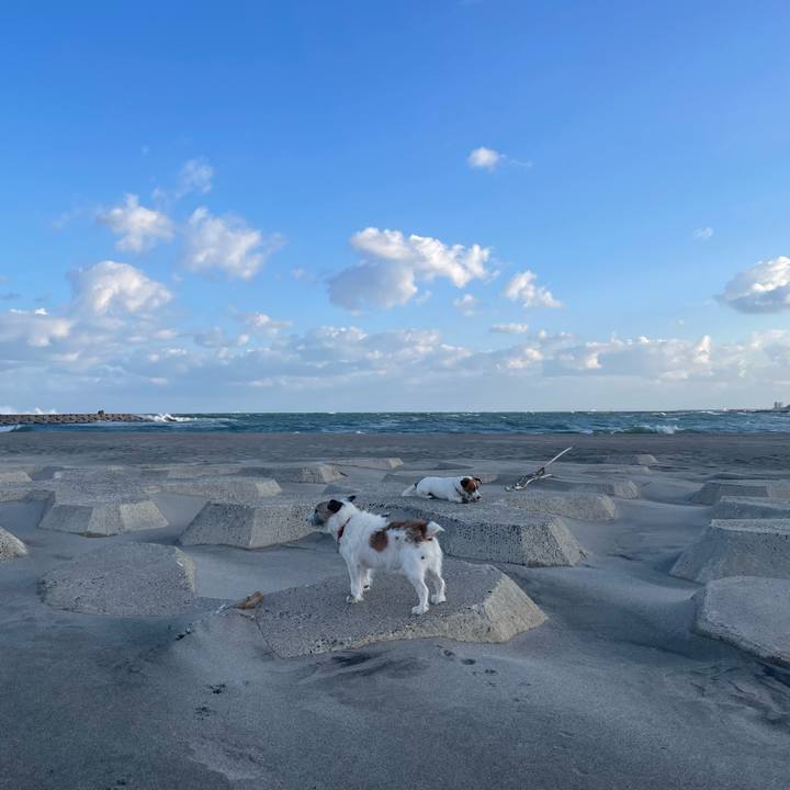 24a2565c 1ef2 46dd bb21 419d57a90208 1730610789853