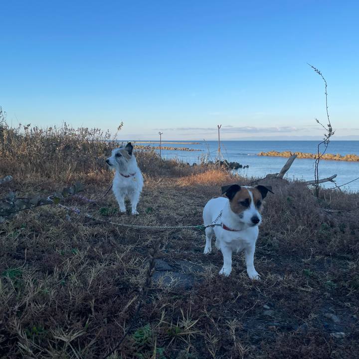 24a269b7 fdd7 413e ada5 e60edfed0cae 1763255320466