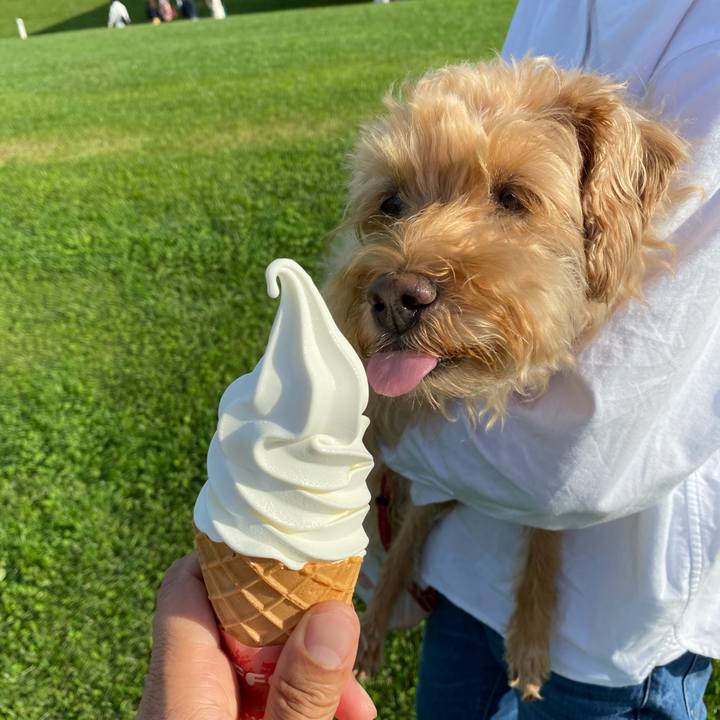 24a28c2f a9c0 4870 b9e4 c60368871e5c 1664093786380