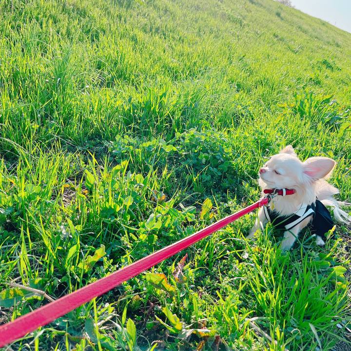 24a2b8fd d786 4dc0 8dc0 4545cf2bfe49 1649238012650