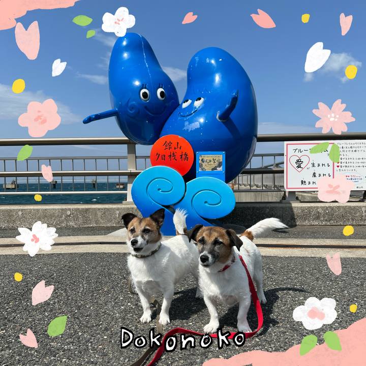 24a2d6ea 73dc 4fb2 aa37 7bf08a07120f 1711014669875