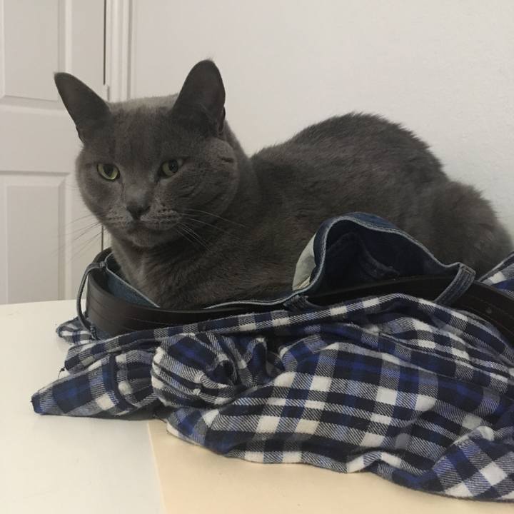 24a2efec ec5c 473a afda 254279261997 1675232750795