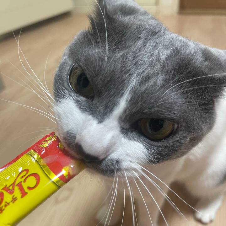 24a32998 3600 4bbc a2cd e45ff26c645a 1624529682469